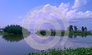 Mirror Image of Sky in Louisiana Swamp with Distant Cypress Trees Present and Past photo