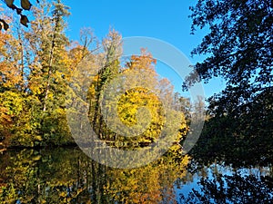 Mirror in the lake amaze us