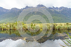 Mirror lake, Fjordland National Park, New Zealand