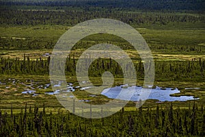 Mirror Lake in green marsh