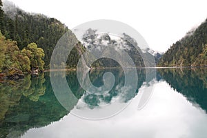 Mirror Lake in Jiuzhaigou National Park of Sichuan China