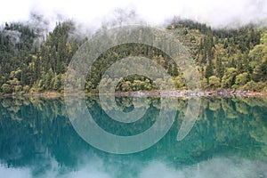 Mirror Lake in Jiuzhaigou National Park of Sichuan China