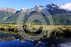 Mirror Lake near Milford Sound, New Zealand