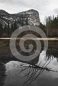 Reflections of Rocks and Dear Tree Branches in Mirror Lake in Yosemite National Park, California