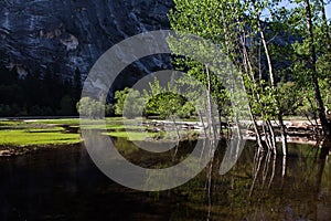 Mirror Lake photo