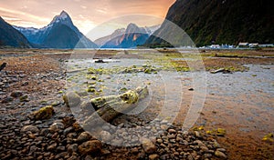 Mirror Lakes along the way to Milford Sound, New Zealand