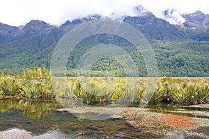 Mirror Lakes are a set of lakes lying north of Lake Te Anau and immediately to the west of the road from Te Anau to Milford Sound