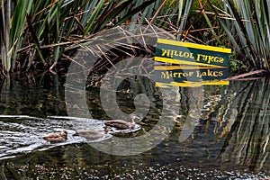 Mirror Lake,The famous attraction in Milford Sound, Fiordland National Park, New Zealand