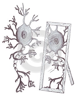 Mirror neuron