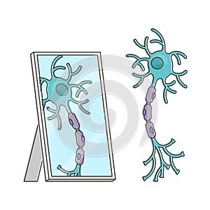 Mirror neuron funny performance with itself reflection view outline concept