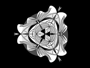 Mirror pattern, repeating lines. Star, flower or snowflake. Black background snowflake.