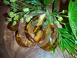 Mirror polished Baltic amber on a wooden surface