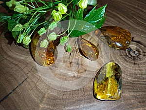 Mirror polished Baltic amber on a wooden surface