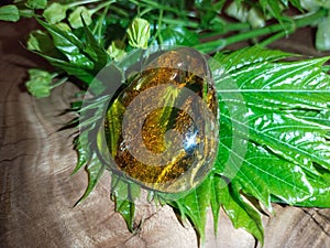 Mirror polished Baltic amber on a wooden surface