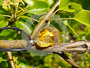 Mirror polished Baltic amber on a wooden surface