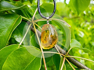 Mirror polished Baltic amber on a wooden surface