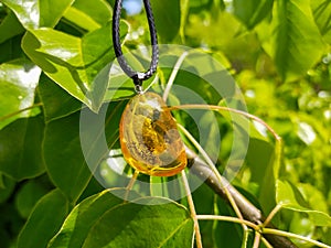 Mirror polished Baltic amber on a wooden surface