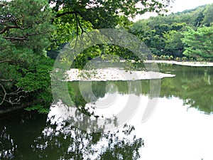 Mirror pond with a scenic view of surroundings, Ryoanji Temple