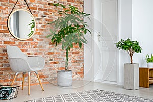 Mirror on red brick wall above grey armchair and plant in living room interior with door