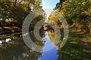 Mirror Reflection of Arched Bridge and autumn Trees in the Grand Union Canal