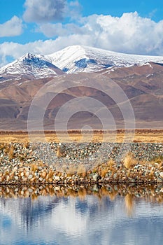 Mirror reflection in calm lake. Vertical morning light. Altai mo