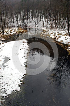 Mirror reflection in river water with winter forest with snow island.
