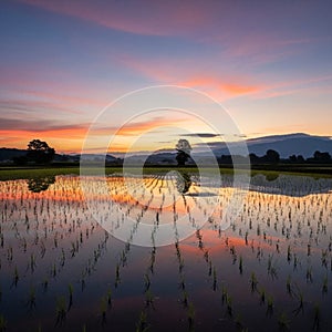 The Mirror of the Sky AI-GENERATED