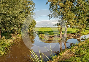 Mirror smooth reflecting water surface of Dutch polder ditches