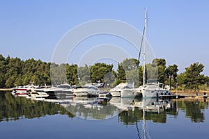 Mirror view of yachts and boats.