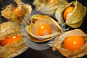 Mirrored physalis on black