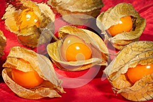 Mirrored physalis on red