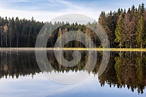 Mirroring coniferous spring forest and blue sky on calm surface of pond