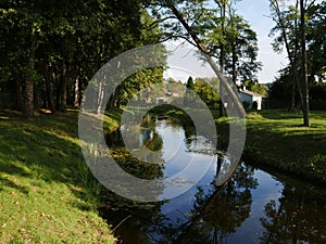 Mirroring in the creek