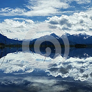 Mirroring the Forggensee