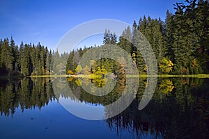 Mirroring on the water level of the Vrbicke lake in the Demanovska valley in Slovakia