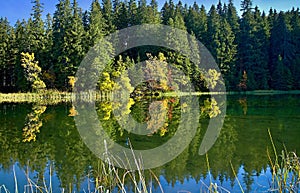 Mirroring on the water level of the Vrbicke tarn in Demanovska valley in Slovakia.