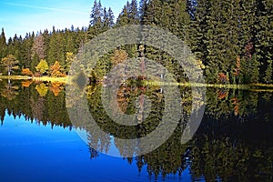 Mirroring on the water level of the Vrbicke tarn in Demanovska valley in Slovakia.