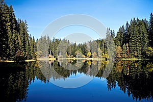 Mirroring on the water level of the Vrbicke tarn in Demanovska valley in Slovakia.