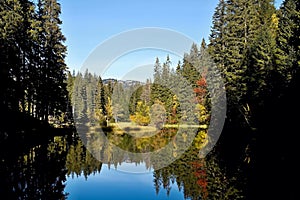 Mirroring on the water level of the Vrbicke tarn in Demanovska valley in Slovakia.