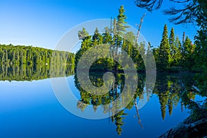 Mirrrored forest, sawbill lake, bwcaw