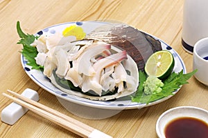 MirugaiJapanese horse clam  sashimi, Japanese cuisine