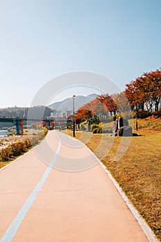 Miryang riverside park walkway at autumn in Miryang, Korea