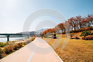 Miryang riverside park walkway at autumn in Miryang, Korea