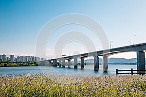 Misa Bridge and Namyangju Hangang river Park Sampae District at spring in korea photo