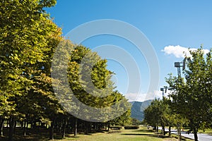 Misa Gyeongjeong Park green forest in Hanam, Korea photo