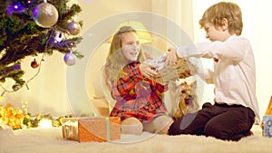 Misbehaving children fighting for New Year gift sitting in living room at home. Wide shot portrait Caucasian girl and