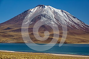 Miscanti lagoon against snow covered volcano and Vicugna vicugnas, Atacama highlands photo