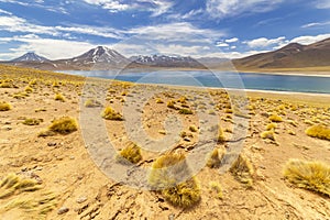 Miscanti Lagoon in the Atacama Desert, Chile