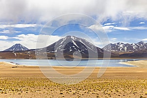 Miscanti Lagoon in the Atacama Desert, Chile