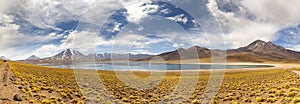 Miscanti Lagoon in the Atacama Desert, Chile